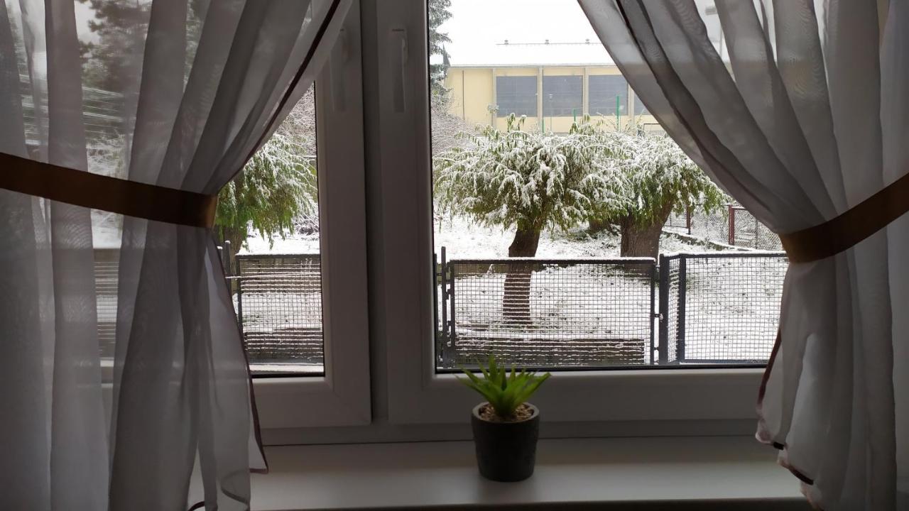 Kamil W Centrum Karpacz